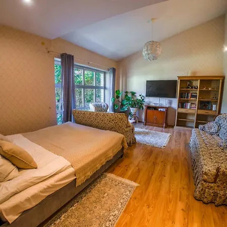 New House, Private Garden & Parking Center 公寓