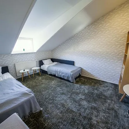 New House, Private Garden & Parking Center 公寓